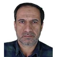 مجتبی برادران